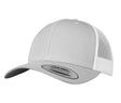 SILVER / WHITE