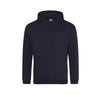 NEW FRENCH NAVY