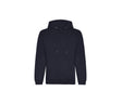 NEW FRENCH NAVY