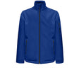 DEEP ROYAL BLUE